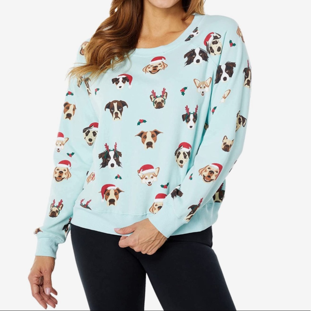 Rare sold out!WILDFOX puppy pullover